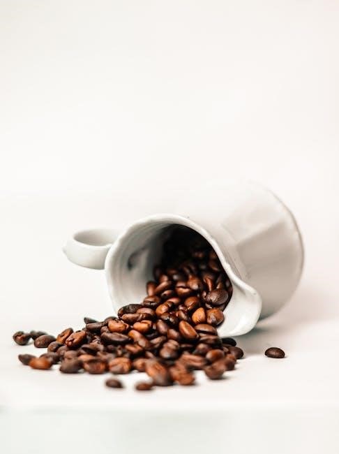 instructions for morphy richards coffee maker
