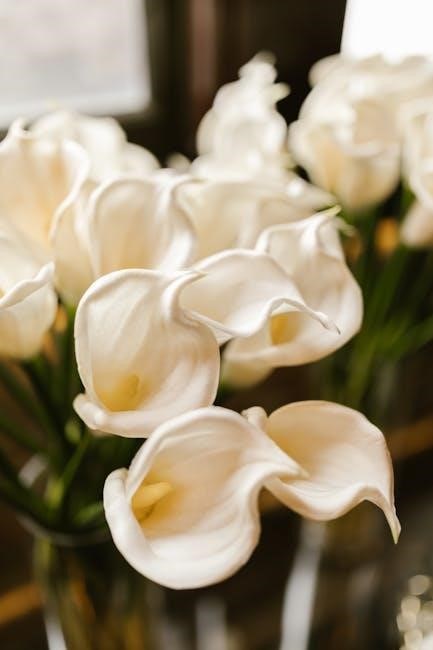 ender lilies trophy guide